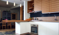 contemporary wood veneer / lacquer kitchen by Uldis Pimberis Design Group IN