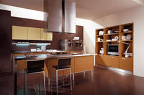 contemporary wood veneer / stainless steel kitchen MAURA CUCINE LUBE