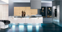 contemporary wood veneer / stainless steel kitchen CRETA copat