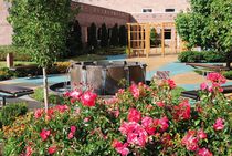 copper fountain  Diamond Spas