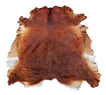 cowhide rug REDDISH BROWN Vohra Decor
