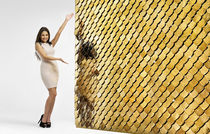 decorative 3D natural stone wall panel  Universal Greyhound Ltd.