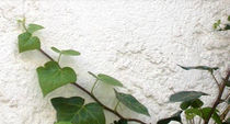decorative acrylic paint for exterior (gloss) RIALTO ZIP Sandtex