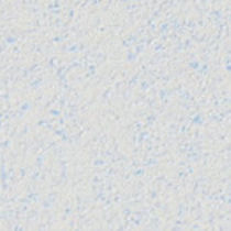 decorative acrylic paint for interior PAINTING SPANGLED S&eacute;nid&eacute;co