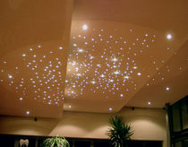 decorative fiber optic lighting 55 Advanced Fiber Optics