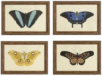 decorative painting EXOTIC  Williams Sonoma Home