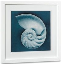 decorative painting SLICED NAUTILUS Williams Sonoma Home