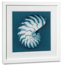 decorative painting TIGER NAUTILUS Williams Sonoma Home