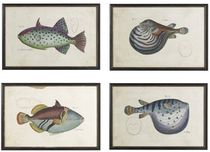 decorative painting TROPICAL FISH Williams Sonoma Home