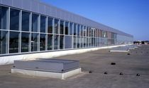 dome for natural lighting with smoke evacuation system (for flat roofs) SEEFIRE COLT