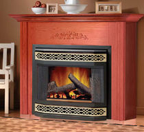 electric closed hearth for fireplace EF 36 Napoleon Fireplaces
