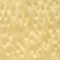 engeenered wood veneer BIRDS EYE MAPLE R Legno Veneer