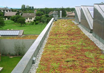 extensive green roof system SUCCULIS ECOVEGETAL / TOITURES VEGETALISEES
