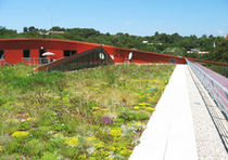 extensive green roof system SAXATILIS ECOVEGETAL / TOITURES VEGETALISEES