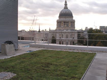 extensive green roof system (pitched roof) NATUREMAT&reg;  Green Roof