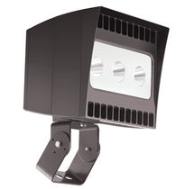 exterior LED spotlight EZLED  RAB Lighting