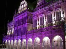 exterior projector for public spaces SKY FALCON ARC WHITE A&O Lighting Technology