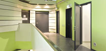 fire door for commercial buildings T30-1-FSA "Teckentrup 42" TECKENTRUP