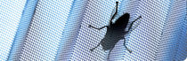 french window fly screen  Verano