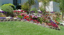 garden edging  Soil Retention