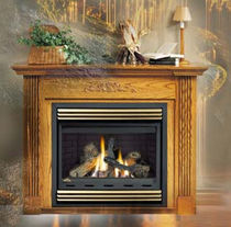 gas closed hearth for fireplace BGNV 36 Napoleon Fireplaces