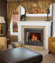 gas closed hearth for fireplace BD 36 DF Napoleon Fireplaces