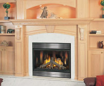 gas closed hearth for fireplace BGNV 42 Napoleon Fireplaces