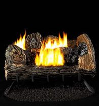 gas fire basket FMI: HEAT MAJIC-HD SERIES Fmi