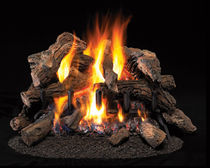 gas fire basket DESIGN DYNAMICS: AVALON Fmi