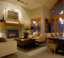 gas fireplace insert QFI35FB QUADRA-FIRE