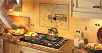 gas hob 30" Wolf Appliance Company