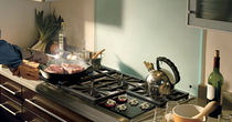 gas hob 36" Wolf Appliance Company