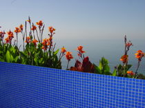 glass mosaic tile POOL 1 VETRO MOSAICO