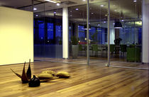 glass partition  Adotta Italia srl