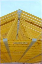 glulam timber wood roof truss  Haas