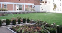 green roof waterproofing membrane  SOPREMA
