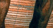 hemp and lime foam insulation   BCB TRADICAL&reg;