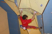 indoor fixed climbing wall TRIANGLE PLYWOOD Walltopia