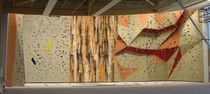 indoor fixed climbing wall ROCKTOPIA AND PLYWOOD Walltopia
