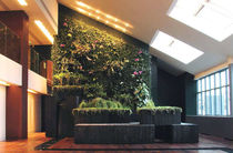 indoor green wall  CANEVAFLOR