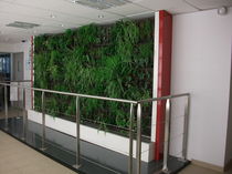 indoor green wall  TRACER