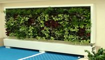 indoor green wall  Saint-Gobain Cultilene B.V.