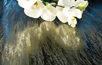 interior and exterior wall decorative plaster (VOC-free) PIERRE D'AFRIQUE Signature Murale