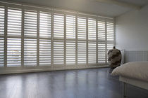 interior swing wooden shutter BASSWOOD JASNO SHUTTERS