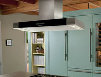 island extractor hood CTEIH42I Wolf Appliance Company