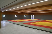 judo tatami  GYMNOVA