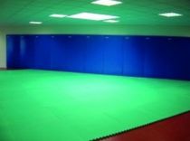 karat&eacute; and taekwondo tatami  GYMNOVA