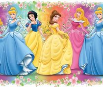 kids wall sticker (girls: princess) PRINCESS 5 Vavex 1990