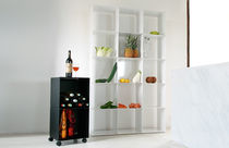 kitchen shelving cabinet by Dom Trapp quad