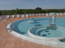 ladder for public pool  Formadour